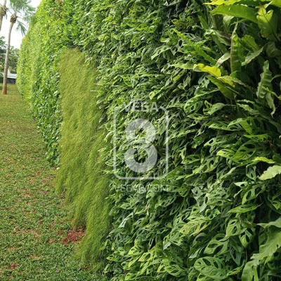 green facade vertical garden