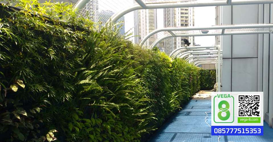 jasa vertical garden outdoor