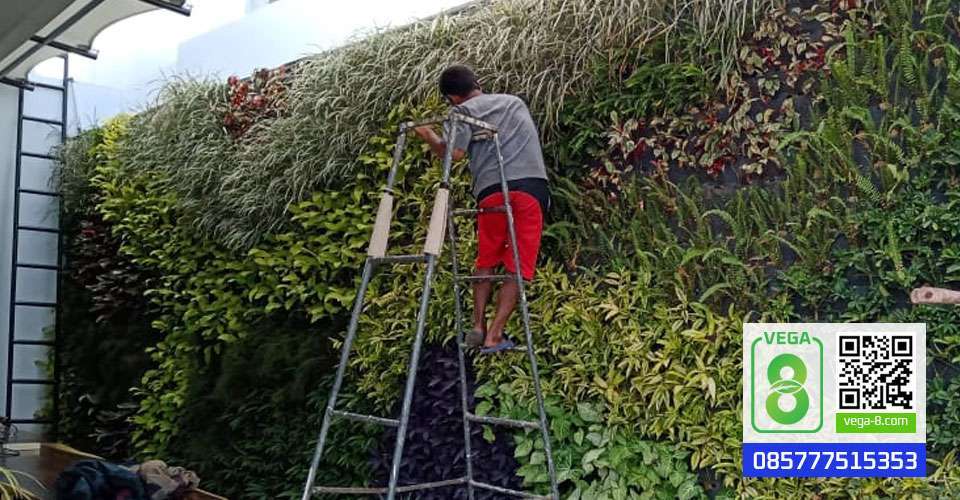 Jasa Vertical Garden Klender