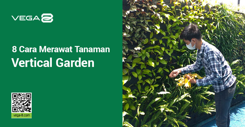 Merawat tanaman vertical garden