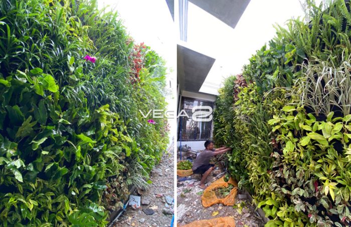 project vertical garden jakarta selatan