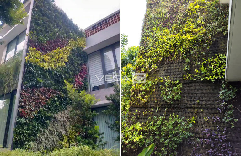 Project Vertical Garden Bintaro